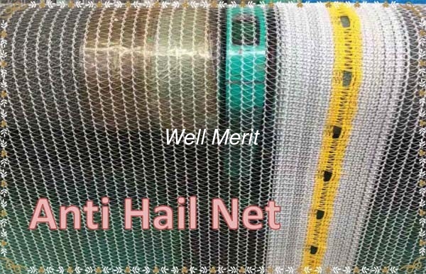 Hail Net /Hail Protection Net/ Anti-Hail Netting