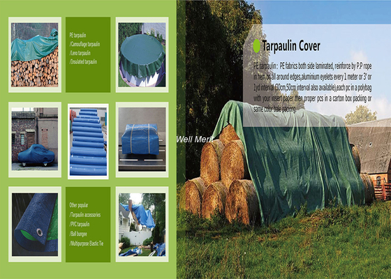 2OZ-9OZ  Pe Material   10*12ft  Polyethylene  Tarpaulin Poly Tarp For  Covering