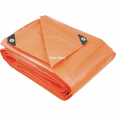 Well Merit Tarpaulin Well Merit Tarp Shandong Tarpaulin Hot Sale Cheap Tarpaulin