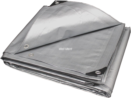 Well Merit Tarpaulin Well Merit Tarp Shandong Tarpaulin Hot Sale Cheap Tarpaulin