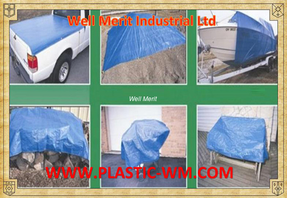 Well Merit Tarpaulin Well Merit Tarp Shandong Tarpaulin Hot Sale Cheap Tarpaulin