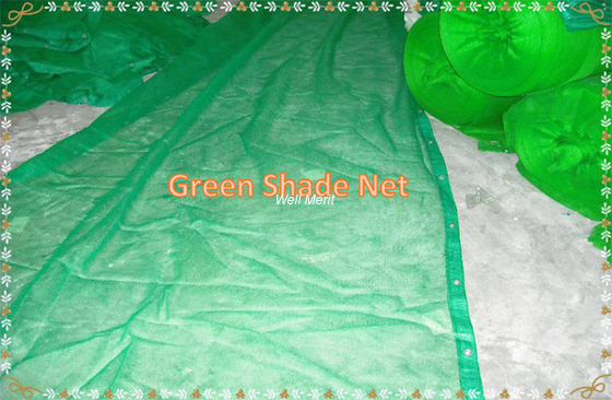 HDPE Green Sunshade Net Shade Netting Plastic Net For Agricultural & Greenhouse