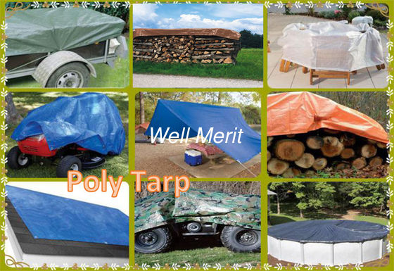 4Mil,6Mil ,10Mil Thickness Waterproof PE Tarp Polyethylene Tarp HDPE Tarp  Poly Tarp