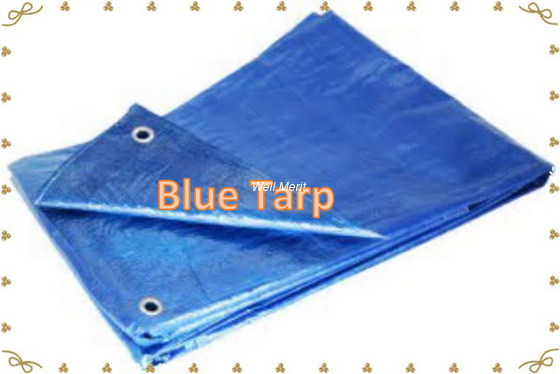 Blue Tarpaulin Blue PE Tarp  Blue Tarp Cover   Economy Blue Poly  Tarp