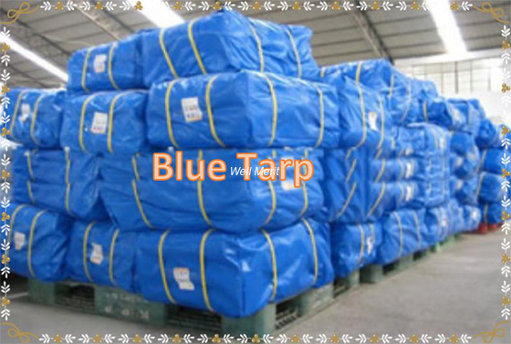 Blue Tarpaulin Blue PE Tarp  Blue Tarp Cover   Economy Blue Poly  Tarp