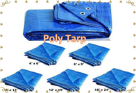50G/M2-280G/M2  2MIL-12MIL PE Tarpaulin Cover  Plastic  Tarp  Poly Tarp