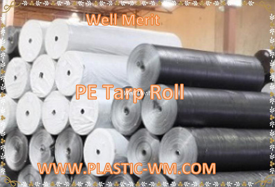 3FT-10FT Width PE Tarpaulin Rolls  PE Fabric Roll  Plastic Tarp Rolls  PE Rolls