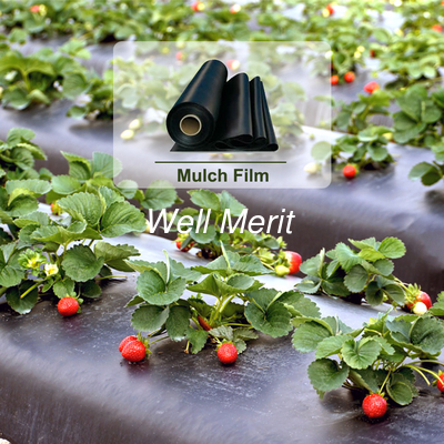 1-4M Width Black/ Silver Color Agricultural Plastic Mulch Film