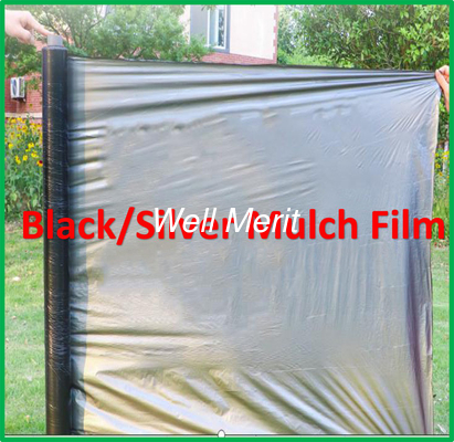 1-4M Width Black/ Silver Color Agricultural Plastic Mulch Film