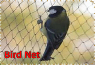 Agricultural Virgin HDPE Anti-Birds Net Plastic Net Anti-Bird Netting