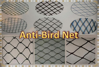 Agricultural Virgin HDPE Anti-Birds Net Plastic Net Anti-Bird Netting