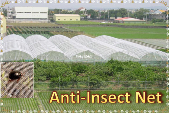 HDPE Insect Mesh Netting Anti-Insect Netting For Agricultural