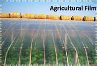 Greenhouse Film  Agricultural greenhouse Plastic Film Agricultural Film
