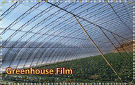 Greenhouse Film  Agricultural greenhouse Plastic Film Agricultural Film