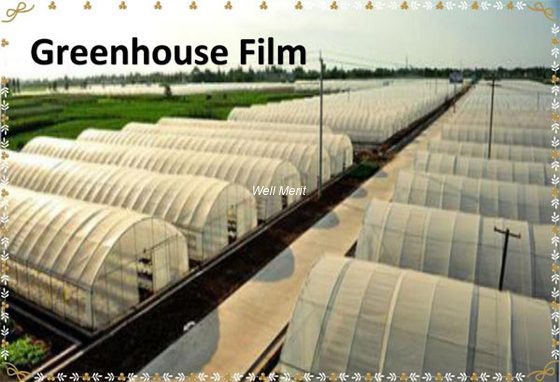 Greenhouse Film  Agricultural greenhouse Plastic Film Agricultural Film