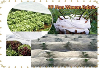 Eco friendly breathable PP spunbonded Agricultural Non Woven Fabric