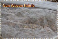 Eco friendly breathable PP spunbonded Agricultural Non Woven Fabric