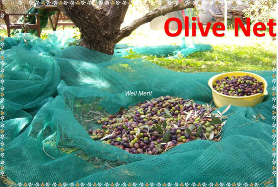 100% New HDPE UV 70g/m2-100g/m2  Agricultural Harvest Net Olive Net