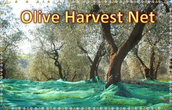 100% New HDPE UV 70g/m2-100g/m2  Agricultural Harvest Net Olive Net
