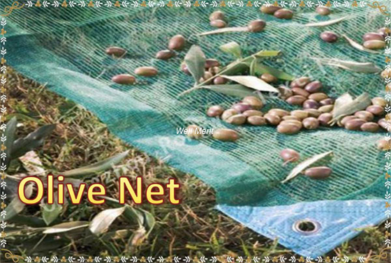 100% New HDPE UV 70g/m2-100g/m2  Agricultural Harvest Net Olive Net