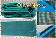 100% New Virgin Material 70g/m2-100g/m2  Olive Net  Export to EU Market