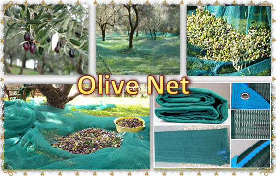 100% New Virgin Material 70g/m2-100g/m2  Olive Net  Export to EU Market