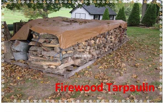 FireWood Tarp  /WoodPile Tarpaulin Cover/ Plastic Tarpaulin For Firewood