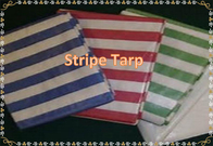 Stripe Color Pe Fabric   Woven Fabric Roll  HDPE Tarpaulin Roll