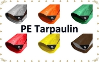 100%Waterproof Assorted Size HDPE Tarpaulin PE Tarpaulin Plastic Tarpaulin