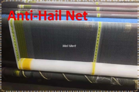 40g/m2-80g/m2 Anti Hail Net For Middle East Market