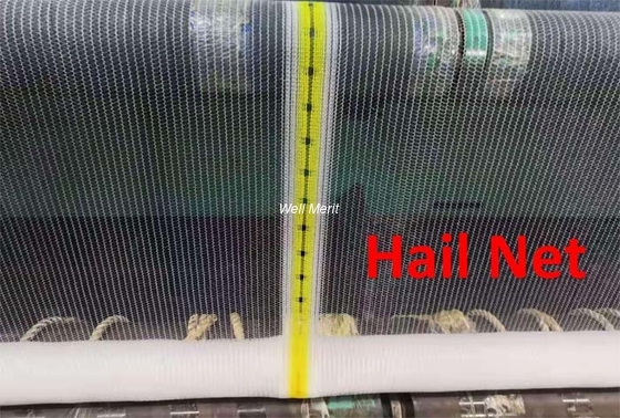 Hail Net /Hail Protection Net/ Anti-Hail Netting