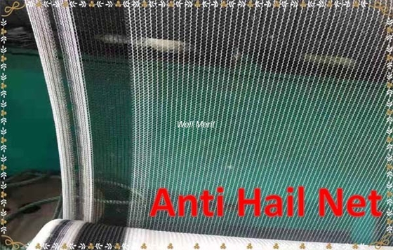 100% New Virgin HDPE Agricultural Anti Hail Net