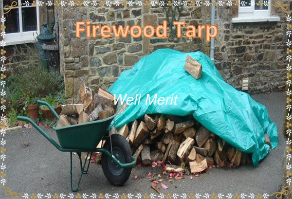 Waterproof  Firewood Tarpaulin  Firwood Tarp Outerdoor Cover Tarp