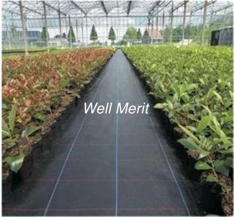 Black Color Ground Cover Landscape Fabric  PP Weed Control Mat