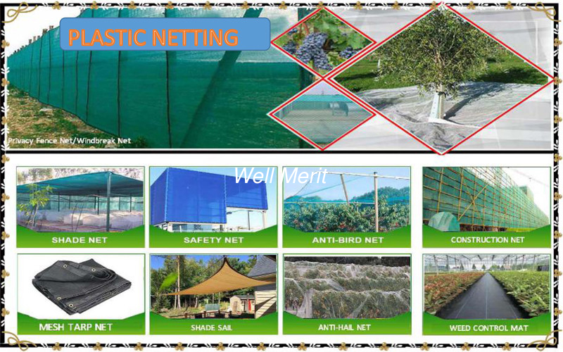 50g/m2-250g/m2 Scaffold Debris Netting Mesh Tarp Constructon Raschel Shade Net