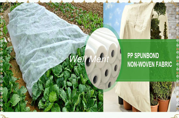 PP Non Woven Fabric PP Spunbond Nonwoven Faric  For Agricultural Use