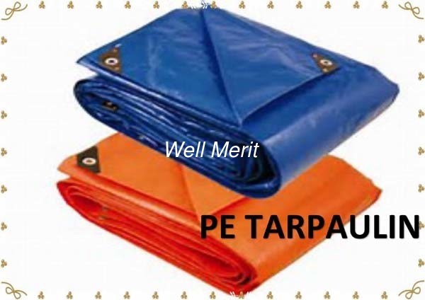 100%Waterproof Assorted Size HDPE Tarpaulin PE Tarpaulin Plastic Tarpaulin
