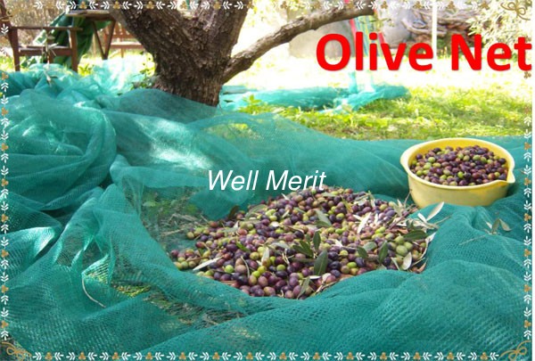 100% New Virgin Material 70g/m2-100g/m2  Olive Net  Export to EU Market