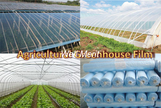 6Mil (150Micron）Greenhouse Plastic Sheeting  PE Film Replacement Covering